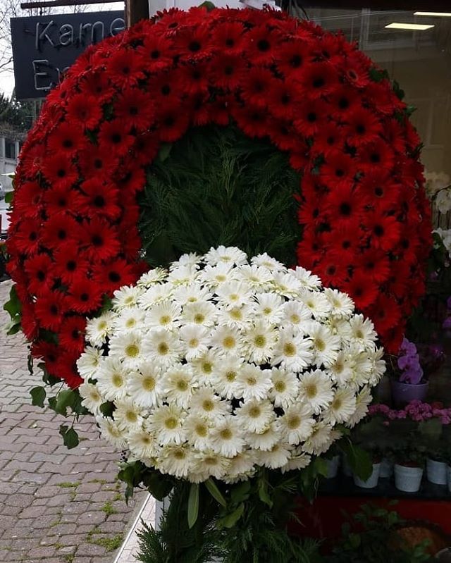 Cenaze ve Taziye Çiçekleri