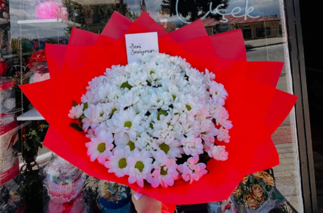 Doğanın En Güzel Çiçekleri