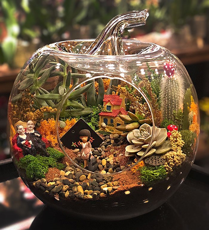 Teraryum & Sukulent Tasarımları